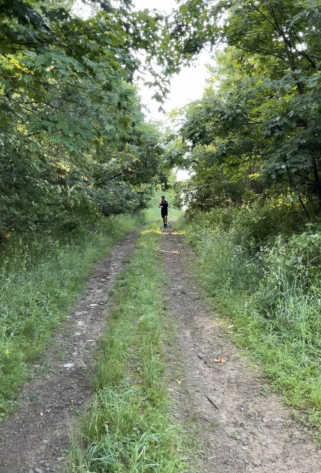 Runner approaching along a rough green trail beneath a tree canopy