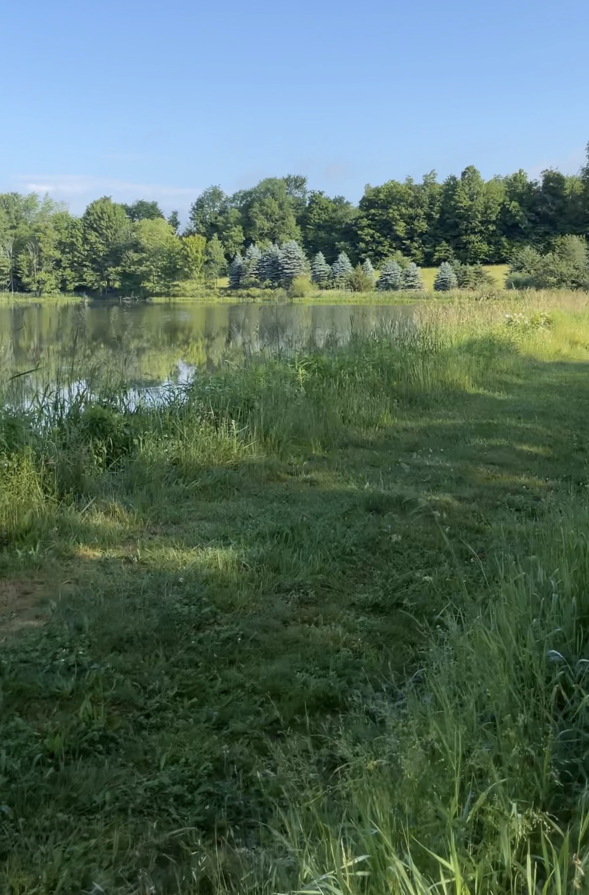 Calm pond shoreline beside the course grounds